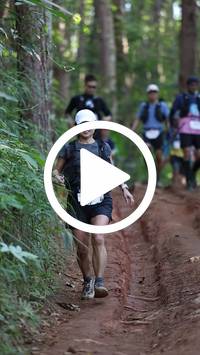 BIB:  <button type="button" onclick="openModal(26569894)" class="btn btn-primary btn-sm float-right" data-toggle="modal" data-target=".modal-high-quality">
                <i class="fa fa-download"></i> Download
                </button>